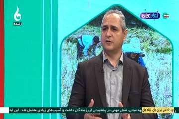 هشدار کارشناسان بهداشت حرفه‌ای درباره استرس حرارتی کشاورزان در برنامه زنده تلویزیونی